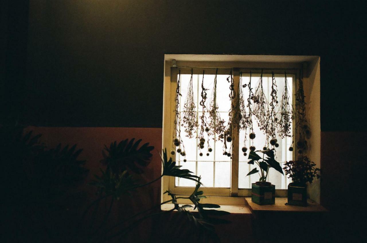 Camellia Apartment Taipei Luaran gambar